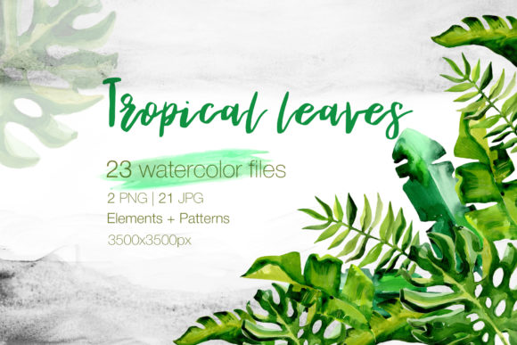 Succulent Tropical Leaves Watercolor Set