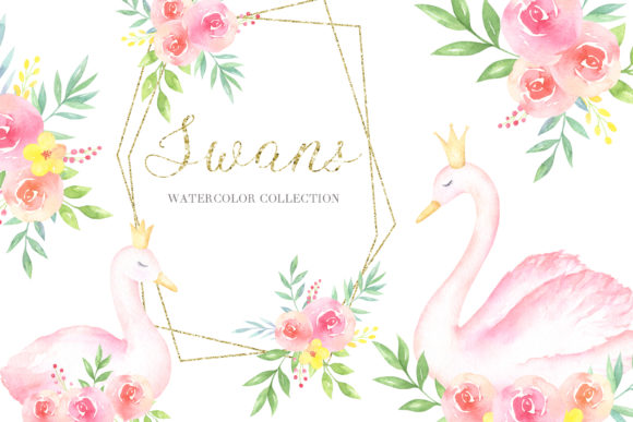 Swans Watercolor Collection: Thoughtful Tools for Today’s Creative Practice