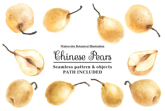 The Quiet Power of Fresh Chinese Pears by Watercolor: A Strategic Visual Asset for Modern Professionals
