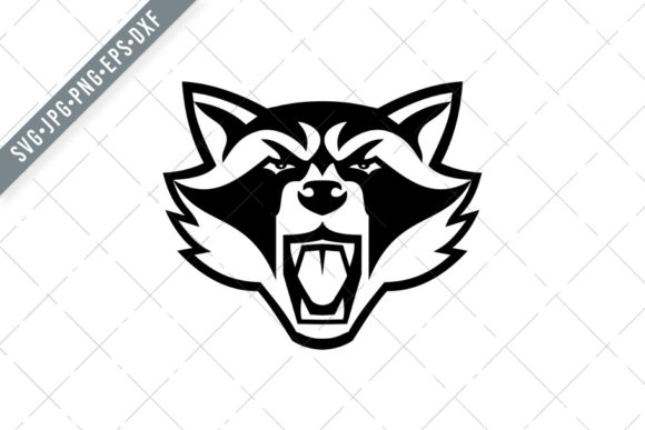 The Unmistakable Intensity of an Angry North American Raccoon's Face