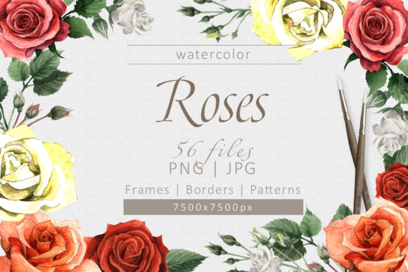 Unleashing Creativity with a Colorful Roses Watercolor Set
