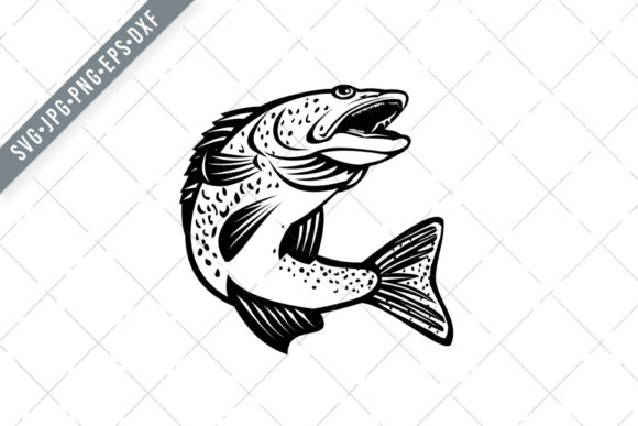 Walleye, Pikeperch, and Pickerel: What You're Actually Getting Wrong