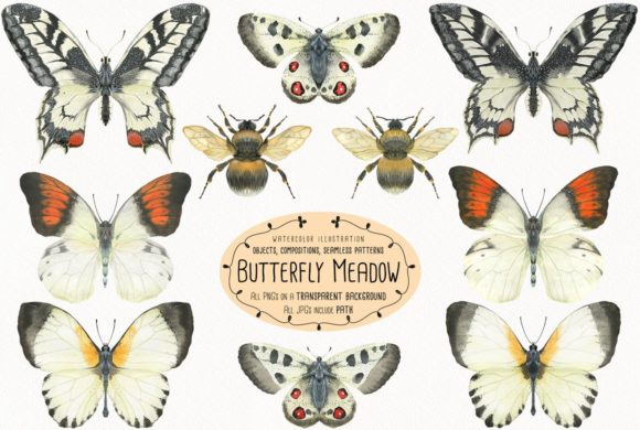 What Is a Butterfly Meadow? A Complete Guide to Nature's Living Tapestry