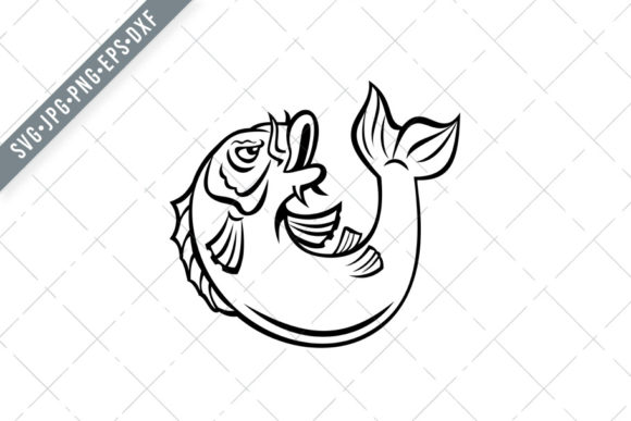Why Koi Fish Jump: Nishikigoi and Koi Jinli Behavior