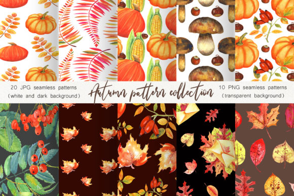 Why the Autumn Pattern Collection Is Reshaping Creative Workflows for Professionals